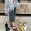 Primeiro Encontro com os Sapatos Mary Jane de Salto Grosso Nicho Estilo Francês para Mulheres, Sapatos Rasos de Bico Apontado Primavera/Verão 2026, Sapatos Rasos Pequenos de Couro Macio