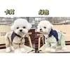 Pantalones a prueba de polvo para perros, duraderos, resistentes a la suciedad, a prueba de insectos, impermeables, elegantes y protectores para las patas; ropa linda para mascotas, resistente a la suciedad