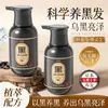 Champú para Cabello Negro Polygonum Multiflorum Extracto de Cinco Negros Diez, Champú Nutritivo de Ganoderma, Champú Vegetal Herbal para Cabello Negro, Anticaída del Cabello