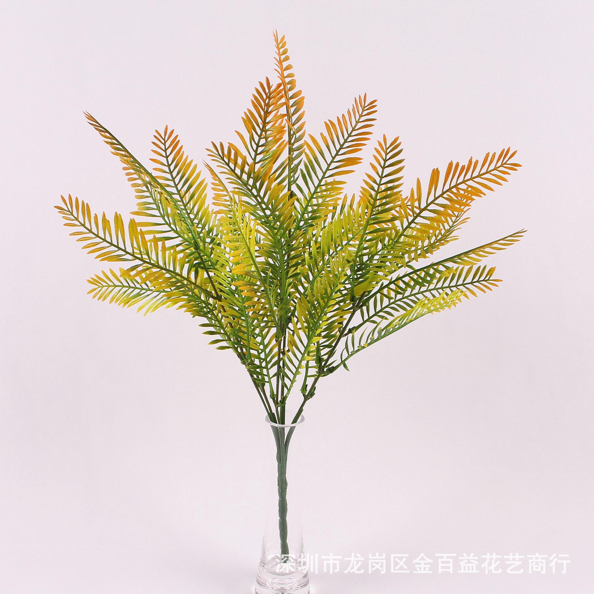 IMG_0236_副本.jpg