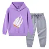 Nova coleção primavera e outono 2023 roupas infantis transfronteiriças conjunto de duas peças com moletom com capuz e calça infantil terno de algodão de manga longa para bebê