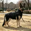 Roupas para Cachorro Roupa de Algodão de Inverno Golden Retriever Cachorro Grande Roupa de Carga Acolchoada Quente Impermeável Roupa para Animal de Estimação
