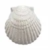 Suministro Directo de Fábrica Accesorios de Resina Estrella de Mar Estilo Mediterráneo Decoraciones para Acuarios Adornos Conchas Creativas Decoración Exquisita
