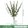 Plantas Verdes Simuladas Mais Vendidas Transfronteiriças, Folhas de Eucalipto, Enfeites de Decoração para Casa de Eucalipto, Flores de Casamento, Arranjos de Flores Artificiais Atacado