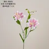An Xu Lírio de Pétalas Duplas Decoração Buquê de Casamento Parede de Flores de Rosa Flor Artificial INS Transfronteiriço Flor de Simulação Fabricante Casa