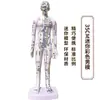 Folha de Cobre para Acupuntura Uso Doméstico Medicina Tradicional Chinesa Silicone Modelo de Diagrama de Meridianos do Corpo Humano com Pontos de Acupuntura