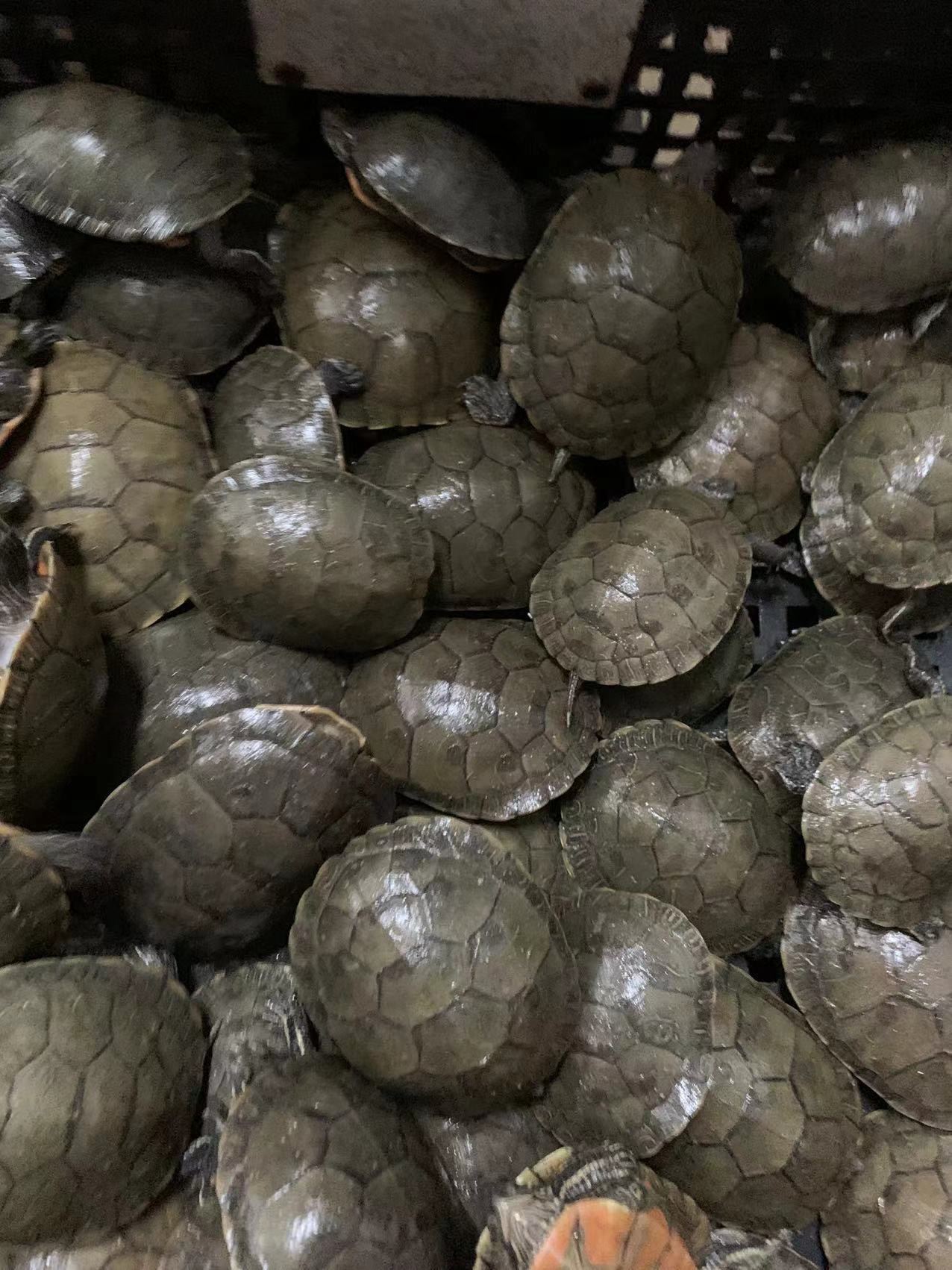 微信图片_20220213165859