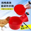Bebedouro Automático Personalizado para Frangos, Patos e Gansos, Comedouro para Pombos, Fonte de Bebida, Bebedouro, Dispensador Automático de Água para Alimentação de Frangos, Criação