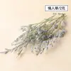 Flores secas canela limão pinha mix e match flores secas artesanais pequeno buquê fresco aromaterapia pacote de material DIY lembrança presente