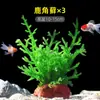 Plantas de Acuario, Decoraciones de Paisajismo con Césped Real, Plantas Aptas para Principiantes, Crisantemo Verde Ciempiés, Plantas de Sombra, Piedra Volcánica, Plantas Verdes Purificadoras de Agua