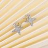 Brincos de estrela Cao Shi com temperamento coreano Super Brilhantes femininos requintados compactos zircônia estrela brincos bicolores outlet de fábrica