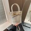 Bolso de Cubo Portátil para Mujer Estilo Coreano Primavera Nuevo Moda de Alta Gama Combinable Bolso de Hombro 2025 Diseño Nicho Bolso para Mujer