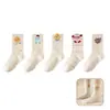 Nuevos Calcetines para Niñas 2026 para Otoño e Invierno, Calcetines de Algodón sin Costuras de Media Pantorrilla, Diseño Lindo y Divertido de Galleta y Pastel para Bebés y Niños