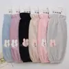 Otoño e Invierno Nuevo Estilo para Mujer Largos Bordados Conejo Lindo Terciopelo Anti-Manchas Cálidos Protectores de Mangas Venta al por Mayor
