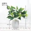 Lujo Ligero Estilo Escandinavo Planta Potos Simulada Bonsái Flores Artificiales Adornos Hoja de Tortuga Maceta Mesa Decoraciones de Flores Falsas