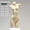 Maniquíes de Bra y Ropa Interior para Mujeres y Hombres, Maniquíes de Medio Cuerpo para Exhibición en Escaparates