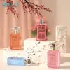En Stock Nuevo Modelo Botella de Perfume de 50 ml Cuadrada Plana con Esquinas Cortadas, Botella de Vidrio con Atomizador para Cuidado de la Piel, Botella de Relleno Portátil para Viaje al por Mayor