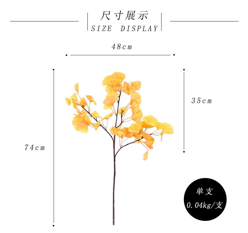 尺寸展示.jpg
