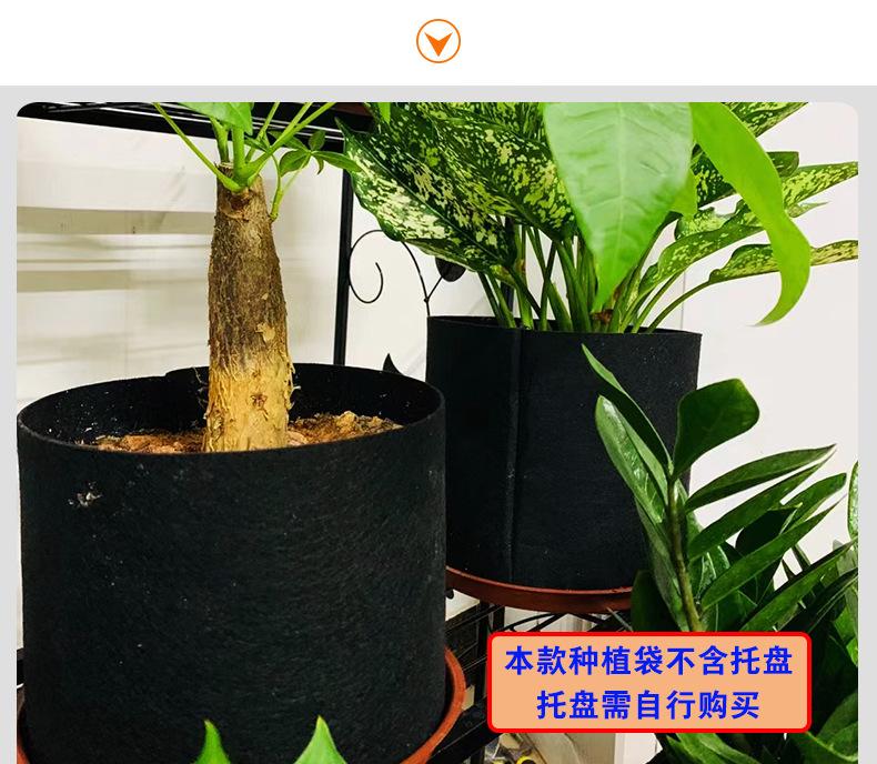 彩色种植袋2_19.jpg