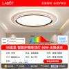 Lâmpada de Teto LED Inteligente com Controle Remoto Sem Fio Quarto Casa Quarto Secundário Varanda Iluminação Interna Espectro Completo Proteção para os Olhos