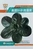 Semillas de Verduras Variadas para Otoño e Invierno, Semillas de Col China, Plántulas con Alta Tasa de Germinación, Nuevas Variedades de Colza Empresas Mayoristas