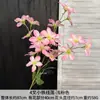 Flor Artificial con 4 Ramas, Clematis Pequeño, Decoración para Sala de Estar del Hogar, Arreglo Floral, Adorno para Entrada, Decoración de Piso para Bodas, Flor de Adorno