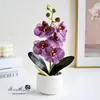 Flores artificiales con 5 flores y 2 frutas, tacto realista, bonsái pequeño de Phalaenopsis, plantas artificiales en maceta, decoración de interior, maceta verde