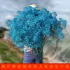 Gipsofila Flor Eterna Ramo de Flores Secas Venta Directa de Fábrica de Yunnan Gipsofila Flor Eterna Hecho a Mano DIY Flores al por Mayor