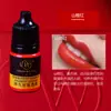 Amostra de Cor Bordado Wanjia 3ml Corante Vegetal para Sobrancelha, Olho e Lábio Não Muda de Cor Sistema de Cor Auxiliar Cor de Sobrancelha Cinza Escuro