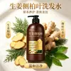 Shampoo Personalizado de Gengibre e Folha de Cipreste Suco de Gengibre Shampoo Condicionador Anti-coceira Controle de Oleosidade Cuidado com o Cabelo Shampoo para Suavizar