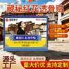 Adesivo Pomada Penetrante Óssea Flor Vermelha Tibetana Extrato de Ervas Adesivo de Moxabustão Adesivo para Articulações Joelho Perna Adesivo Universal para Corpo Inteiro Venda por Atacado