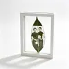 Marco de fotos de cristal de doble cara con tallado de hoja marco vacío 67810 pulgadas marco cuadrado para exhibir hojas marco de fotos de madera estilo europeo marco vacío