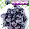 Uvas Negras de Verano de Yunnan 2.5 kg Frescas de Temporada Sin Semillas, Fruta para Mujeres Embarazadas, Caja Entera con Envío Gratis