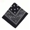 Lenço de Cabeça Paisley Retro Americano Europeu e Americano Transfronteiriço para Mulheres Turbante Estampado Hip-Hop de Rua Lenço de Seda Tendência Wasteland Lenço Quadrado Cool