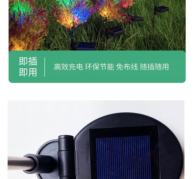 10(1)_13.jpg