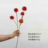 Bola de cebolla artificial Hanyang, bola de púas de diente de león de 5 cabezas, arreglo floral para sala de muestras y casa de huéspedes, planta artificial, en stock del fabricante