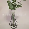 Ornamento de jarrón de tubo de ensayo de vidrio nórdico estilo ins para el hogar, arreglo floral decorativo, jarrón hidropónico simple, floristería al por mayor