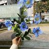 Viento de océano azul flores de simulación para boda al por mayor azul oscuro azul zafiro azul bruma blanco boda camino guía techo flores falsas