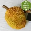 Estrictamente elegir al por mayor plástico falso oro almohada Rey de la Montaña Gato modelo de carne de durian decoración de escaparate de frutería adornos simulación de durian