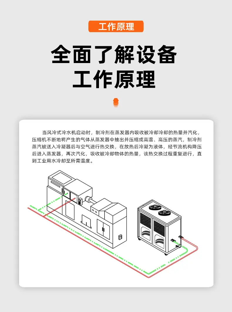 详情 (11)