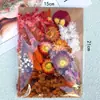 Bolsa de Materiales DIY Flor Seca Inmortal Tuanjian Marco de Fotos Pintura Tarjeta de Felicitación Tuanfan Ramo Pequeño Hecho a Mano Flor Real Bolsa de Flores en Relieve