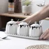 Juego de Tarros de Cerámica para Condimentos Seleccionados Cuidadosamente, Tarro de Sal para Cocina, Botella para Condimentos, Caja de Almacenamiento, Juego de Cajas de Condimentos MSG para el Hogar