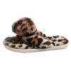 Pantuflas Peludas Estampado de Leopardo, Chanclas de Otoño e Invierno, Pantuflas de Algodón para Salir, Chanclas de Suela Plana, Pantuflas para el Hogar para Mujer, Venta al por Mayor