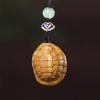 Llavero Accesorio Concha de Tortuga Rica y Poderosa Colgante Concha de Tortuga Adorno Cultural Decoración Colgante Regalo