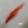 Livro Vermelho Pequeno Fogos de Artifício Junco Estilo Transfronteiriço Europeu e Americano Estilo Ins da Amazonia Junco Artificial Grama Pampas Grama Rabo de Raposa