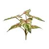 Simulación de impresión 3D transfronteriza bonsái de planta verde realista alta imitación decoración hogar planta verde bonsái flor artificial decoración de flor artificial
