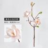 Simulação de flor de magnólia Eva algodão flor falsa Nova sala de chá chinesa sala de estar ornamentos high-end 3 simulação de cabeça Magnólia única