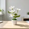 Fornecimento direto transfronteiriço de vasos em formato de bolo com 6 lírios pequenos, bonsai para fotografia interna, adereços de plantas verdes, decoração de sala de estar, ornamentos de flores artificiais