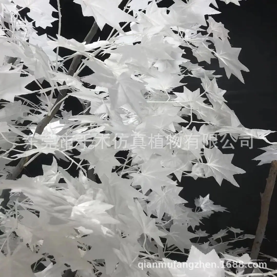 微信图片_201911252118544