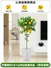 Dropshipping Árbol de Limón Frutal Todo el Año Maceta Envío Gratis Balcón Plántula con Yemas Frutales Planta de Patio Árbol Frutal